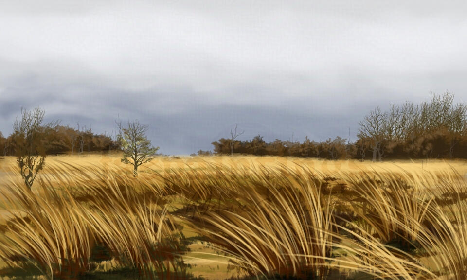 Grassland