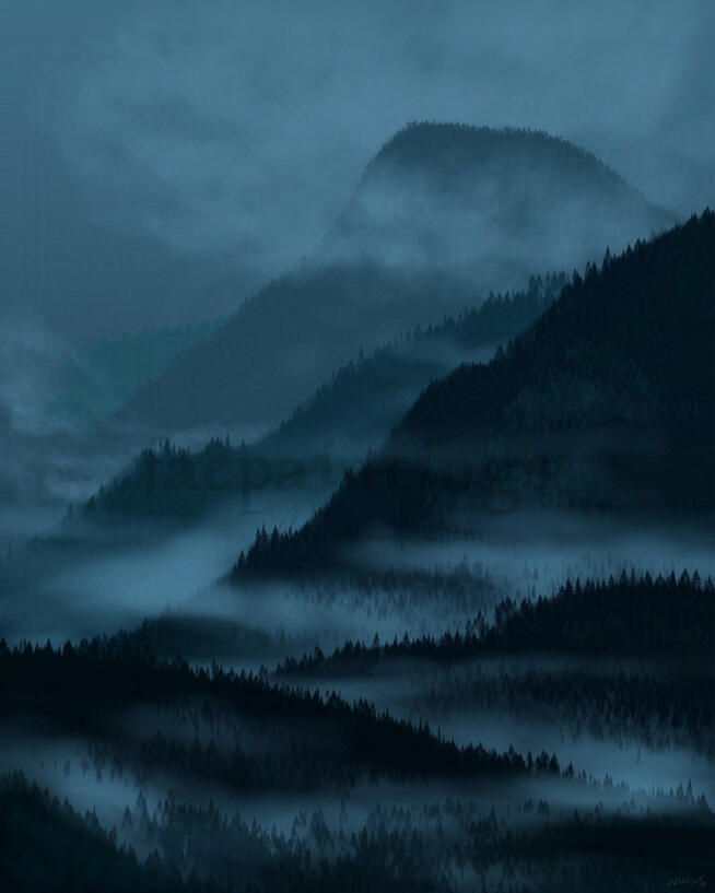 Misty forests