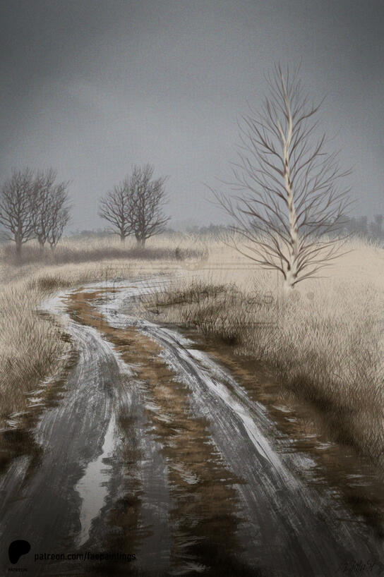 Path in grasslands